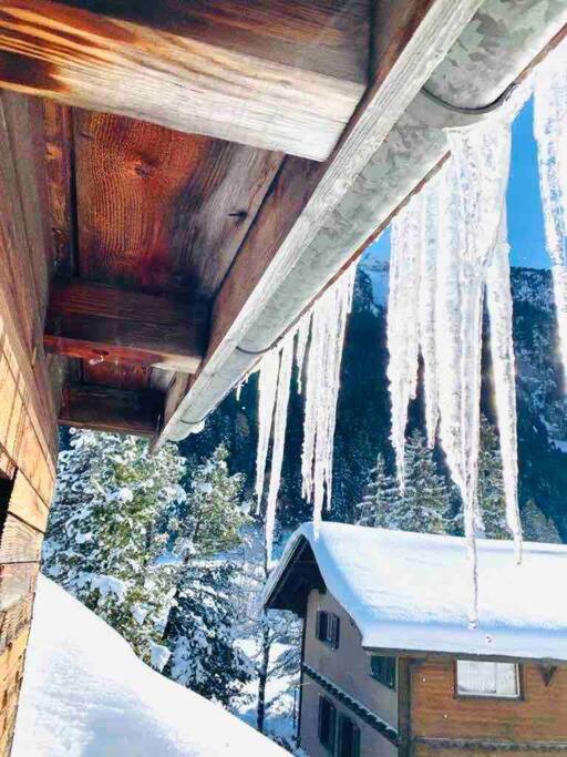 Cozy Apartment In Vintage House In Kandersteg Εξωτερικό φωτογραφία